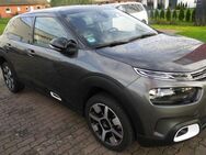 Citroen C4 Cactus PureTech 130 Stop&Start Shine - Satow