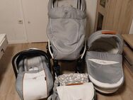 3 in 1 Kinderwagen Coletto Florino Carbon - Dortmund