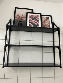 Regal - Mönchengladbach