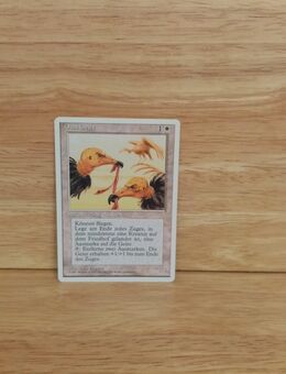 Magic The Gathering-Osai Geier - Nörvenich