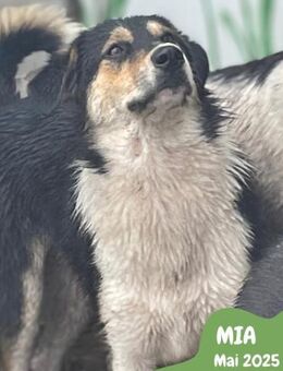 Hübsche Mia wird gemobbt! - Nürnberg