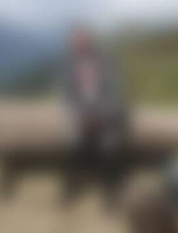 Man*** - Velden (Regierungsbezirk Niederbayern)