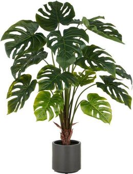 Kunstpflanze Splitphilodendron, Creativ green, Höhe 100 cm, mit naturgetreuem Blattwerk