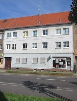 kleine 1 Raumwohnung in Taucha - Taucha