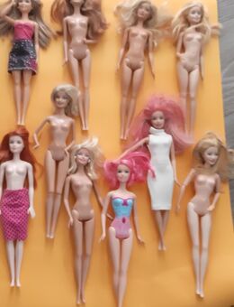 Barbie-Puppen und Diverse - Neustadt (Coburg)