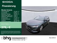 Skoda Octavia, 2.0 TDI Combi ReisePlus PanoDach CantonSound, Jahr 2021 - Kehl