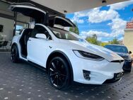 Tesla - Ludwigshafen (Rhein)