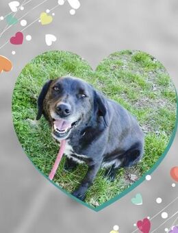 Lieber CHARLIE ist unglaublich sozial♥️ - München
