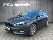 Ford Focus, 1.0 EcoBoost System COOL&CONNECT, Jahr 2017 - Marienmünster