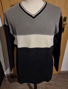 John F.Gee Pullover in Größe 48/50 L - Verden (Aller)