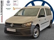 VW Caddy, 2.0 Maxi Kombi TDI BEGRE, Jahr 2020 - Ganderkesee