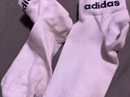 Getragene stinkende Sneaker/Sportsocken - Dresden