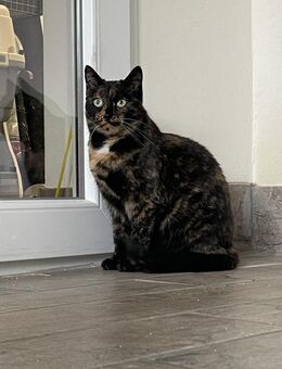 Leni & Lotti - Rees Zentrum