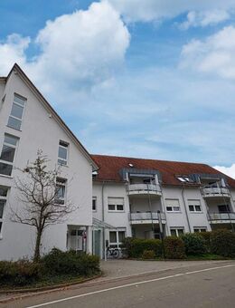 Gemütliche 2-Zimmer-Wohnung im Kleeblatt Steinheim - Steinheim (Murr)