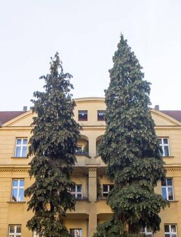 HOMESK - Vermietete 2-Zimmer-Terrassenwohnung im Altbau in Pankow - Berlin