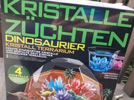 Kristalle züchten- Dinosaurier - Berlin Friedrichshain-Kreuzberg