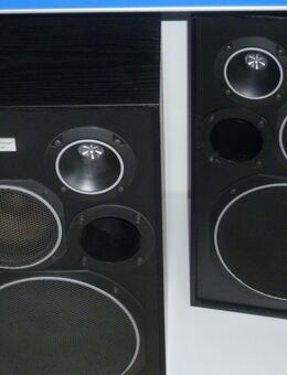 Hifi-Professional - stettler Hifi Lautsprecher balck - Dübendorf