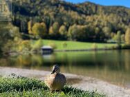 3-Zimmer-Dachgeschosswohnung mit imposanten Raumhöhen und traumhaftem Ausblick in Schliersee - Schliersee