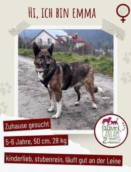 Schöne Emma sucht ein zu Hause - Nürtingen