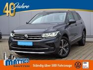 VW Tiguan, 2.0 TDI 200 Elegance S, Jahr 2021 - Bautzen