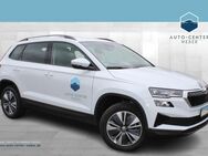 Skoda Karoq, 1.5 TSI Selection, Jahr 2024 - Delitzsch