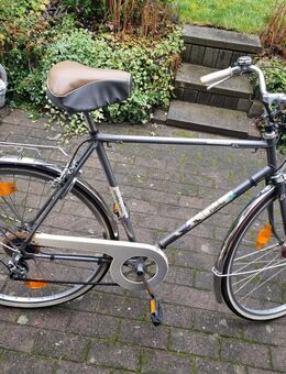 Herren Sportrad "Falter Paloma" - Neustadt (Rübenberge)