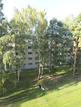 Ruhig und preiswert wohnen in Hermsdorf - Hermsdorf