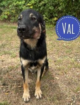 Val der Allerliebste - Flörsheim-Dalsheim