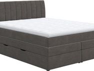 COTTA Boxspringbett Shark inkl. Bettkasten und Topper, erhältlich in den Breiten 140x200cm, 160x200cm und 180x200cm