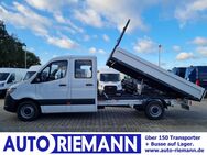 Mercedes Sprinter, 317 DOKA 3 Seiten Kipper RWD, Jahr 2024 - Cloppenburg