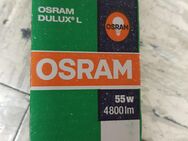5 Stk. Osram Dulux L 55W, 4800lm, 2G11, neu in OVP in 73614