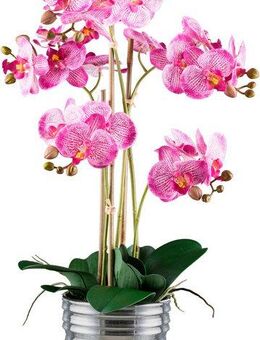 Kunstorchidee Orchidee Phalaenopsis, Creativ green, Höhe 62 cm, mit silberfarbenem Keramiktopf