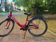 Freizeit Fahrrad - Steinbach (Taunus)
