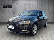 Skoda Fabia, 1.0 MPI COOL PLUS Clima, Jahr 2019 - Salzwedel (Hansestadt)