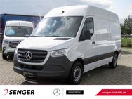 Mercedes Sprinter, 317 KA L2H2 MBUX, Jahr 2023 - Wietmarschen