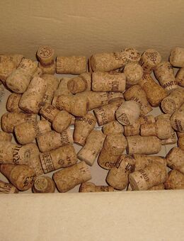 Champagner Korken 95 Stück - Worms