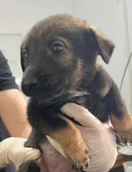 Grace - bereit fürs große Abenteuer - Kallmünz