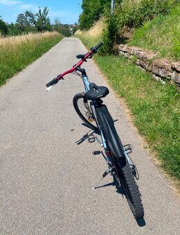 E-Bike Umbau 18 Monate Garantie mit Farbauswahl - Winnenden