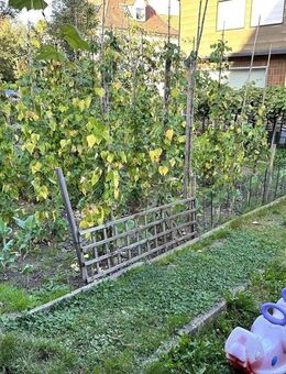 Dreifamilienhaus mit Büro/Laden im Erdgeschoss - Welzheim