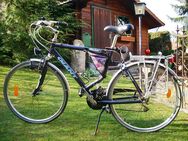 Fahrräder - Heinersreuth