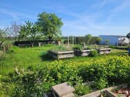 RESERVIERT bis 16.06.25.-Traumhaft familienfreundliche Lage :-) - Boizenburg (Elbe)