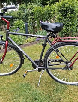 Ketteler 28er Herrenfahrrad - Bonn Dottendorf