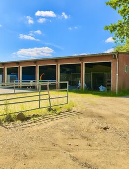 IST-Rendite 8%: Reitplatz, Pferdeboxen, Gästezimmer, 340m² Wfl., gehobene Ausstattung, 5800m² Grd - Schwalmtal (Nordrhein-Westfalen)