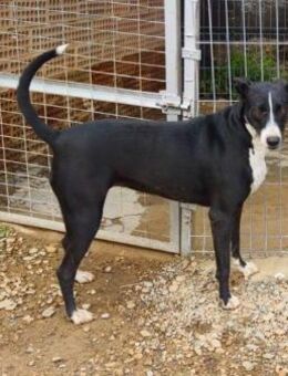 Dina; auf ins Leben - Geilenkirchen