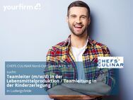 Teamleiter (m/w/d) in der Lebensmittelproduktion / Teamleitung in der Rinderzerlegung - Ludwigsfelde