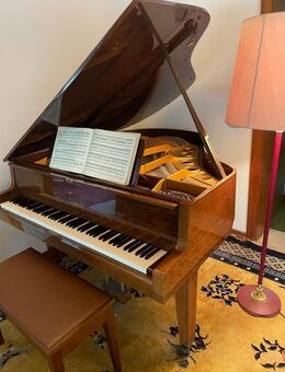 Yamaha G1 - 1967 - Wachtberg