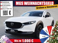 Mazda CX-30, Homura FWD 122PS 6AT, Jahr 2024 - Weiden (Oberpfalz)