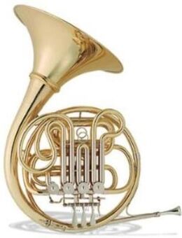 Hans Hoyer 801GA - L Goldmessing Bb/F - Doppelhorn / Waldhorn mit Schraubbecher, Neuware - Hagenburg