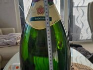 Sonderanfertigung Supper Party-Geschenk . - Halle (Saale)