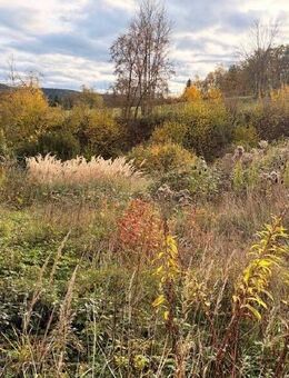 Architektenhaus in landschaftlich reizvoller Umgebung - Großeutersdorf